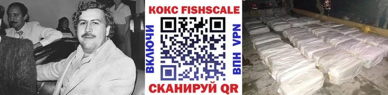 продажа наркотиков  Аша  COCAIN Fish Scale 