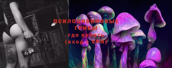 мескалин Алексин