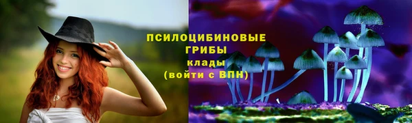 2c-b Арсеньев