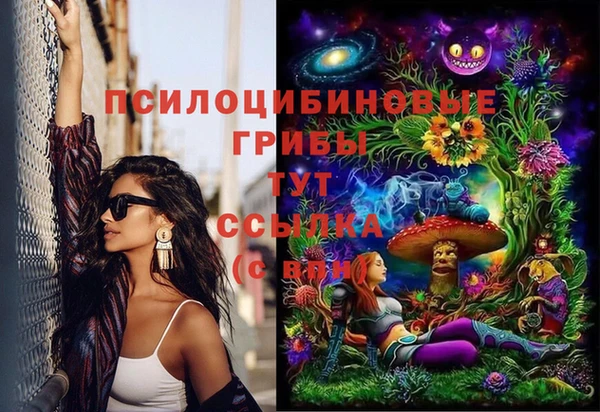 прущий лед Алексеевка