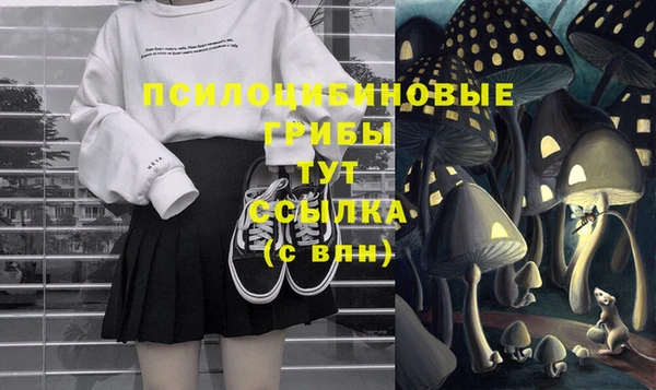 мескалин Алексин